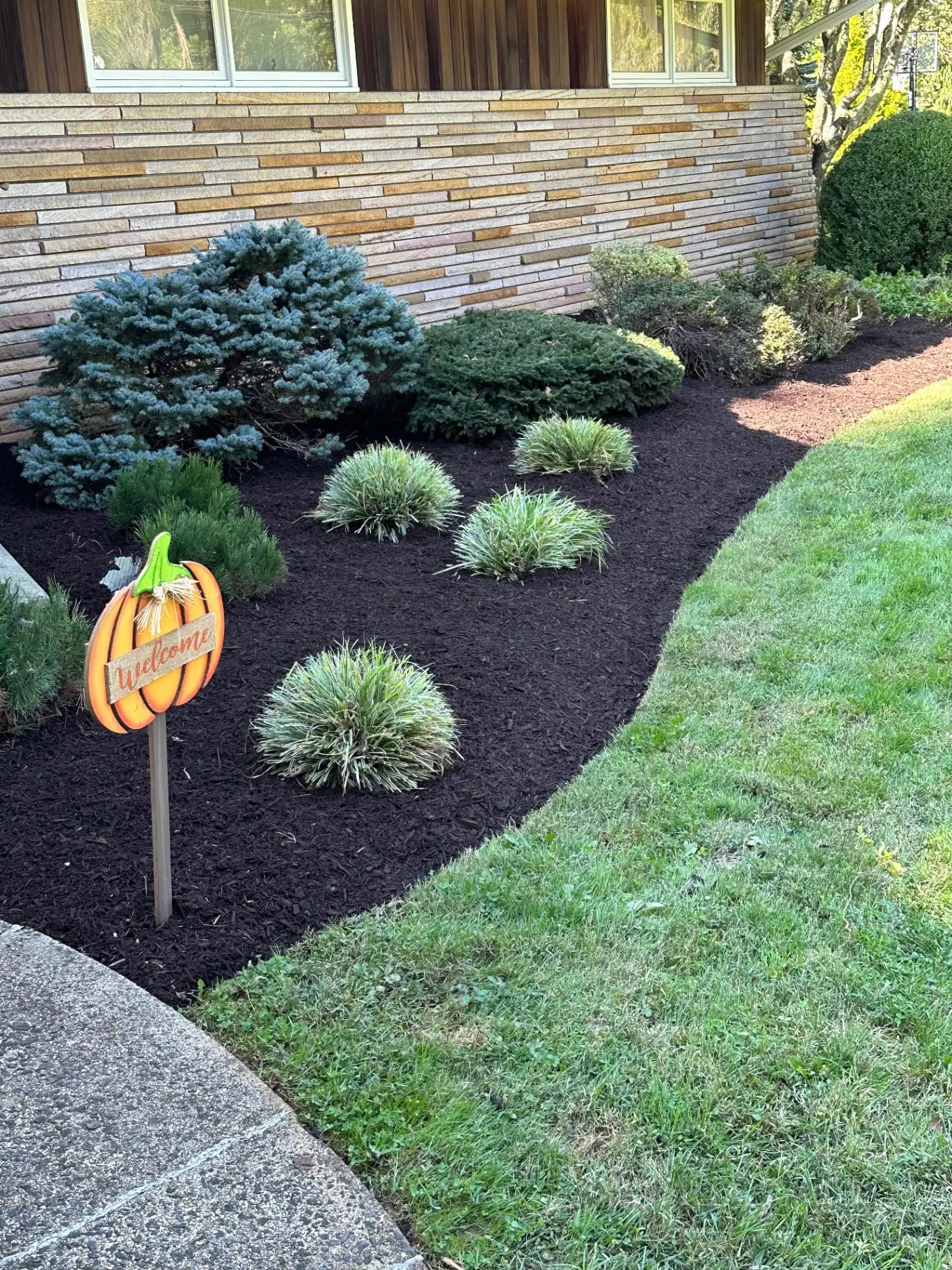 Freshly mulched planting beds with clean spade-cut edges in Central New Jersey