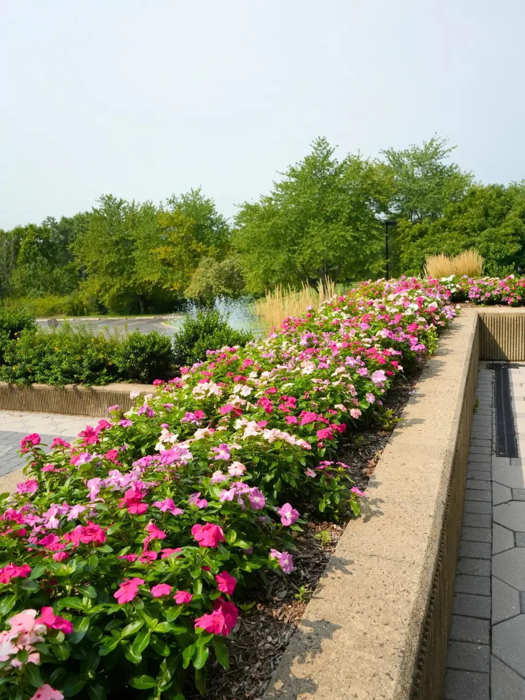 Mike's Hardscape Design project — hardscape and landscape work, image 38
